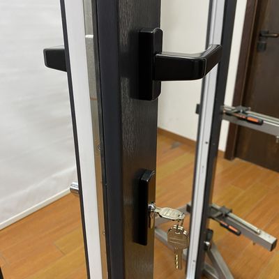 耐久性高いLamnativeガラスPVC外装と内装のためのフランス製カーセメントドア