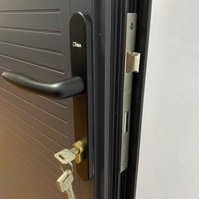 モダンデザインヨーロッパ セキュリティ 鍵付き鉄鋼ドア ハンジルとハンドル アクセサリー